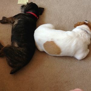 Meet your Posher, Cheryl